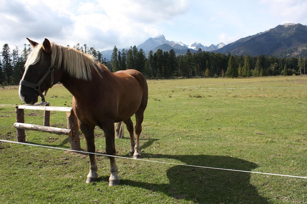 Penzion Koliba Vysoké Tatry Εξωτερικό φωτογραφία