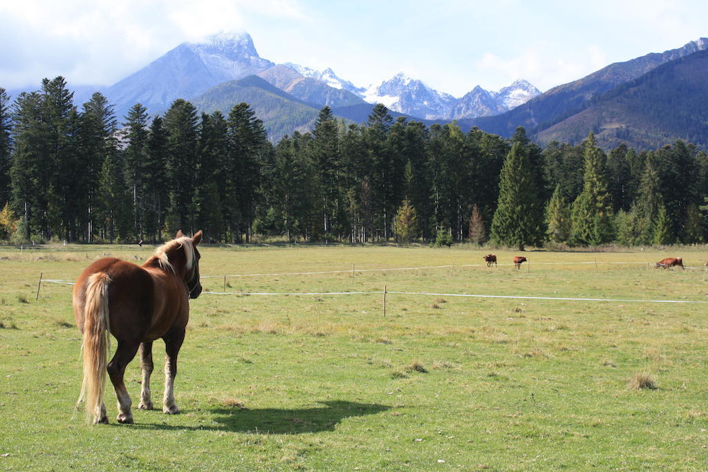 Penzion Koliba Vysoké Tatry Εξωτερικό φωτογραφία